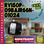 RVI50P-09BAJR66N-01024 (1)